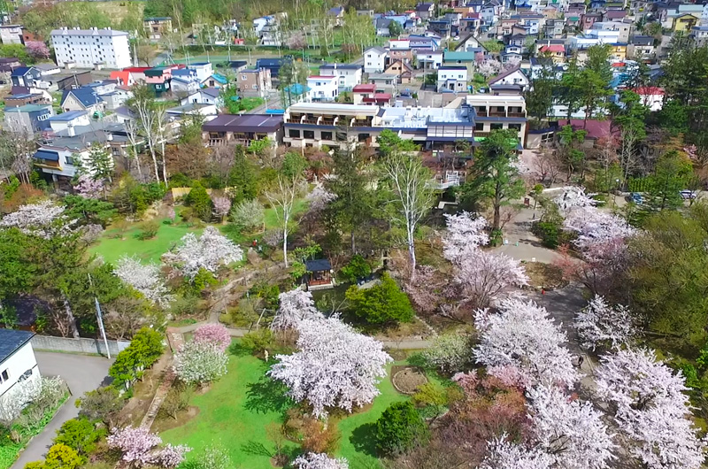 能欣赏四季色彩的日本庭园